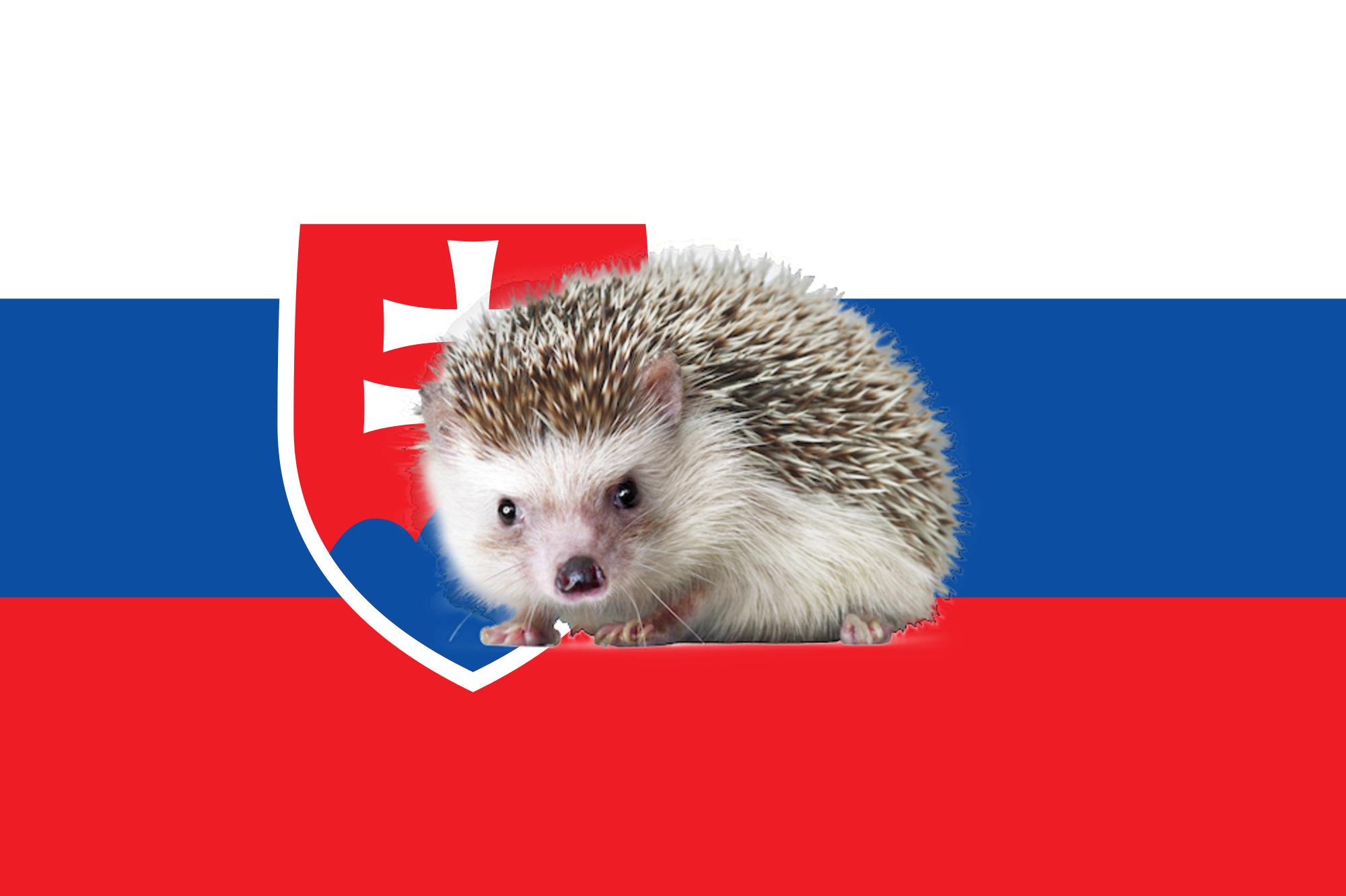Austrálčania použili Slovensko ako ukážkový príklad vo vtipnej reklamnej kampani
