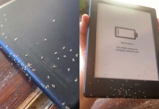 Brazílskej novinárke sa do čítačky dostali mravce a začali nakupovať elektronické knihy