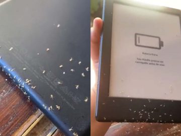 Brazílskej novinárke sa do čítačky dostali mravce a začali nakupovať elektronické knihy