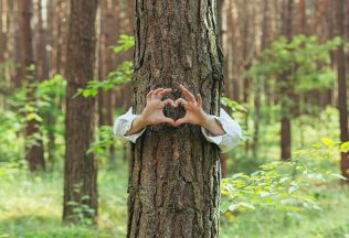 Vo Fínsku sa konali už tretie Majstrovstvá sveta v objímaní stromov