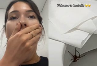 modelka, Austrália, pavúk, huntsman spider, TikTok, virálne video