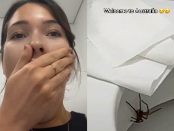 modelka, Austrália, pavúk, huntsman spider, TikTok, virálne video