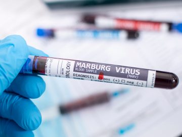 vírus Marburg, biologická zbraň, šírenie vírusu