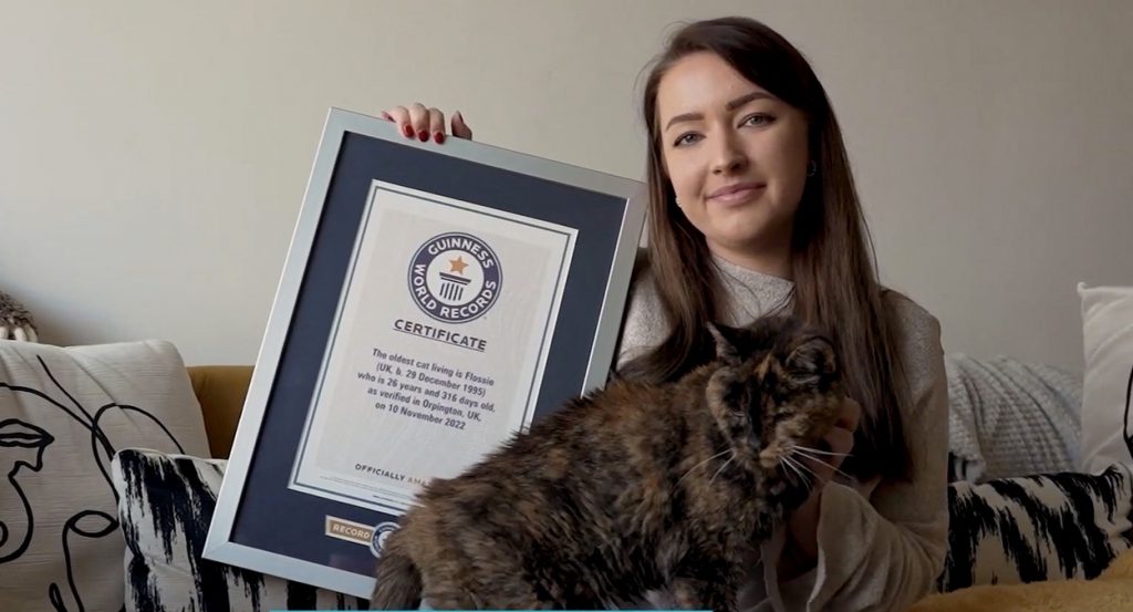 najstaršia mačka na svete, Guinessova kniha rekordov, mačka Flossie, svetový rekord, zvierací rekordman