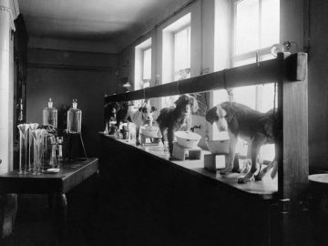 Ivan Petrovič Pavlov, experiment so psami, veda, podmienený reflex, fakty a zaujímavosti