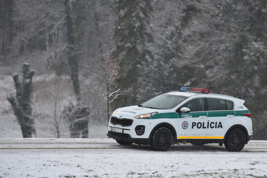 polícia, krádež, hliadka, sneh, auto, les, 158