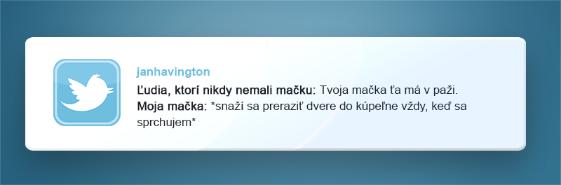 vtipne tweety, majitelia domácich zvieratiek, pes, mačka