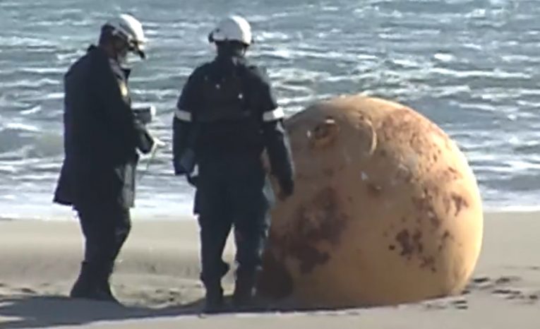 Špionážny balón či UFO? V Japonsku sa objavil zaujímavý úkaz