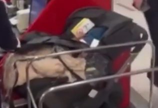Nechceli priplatiť za detskú sedačku, tak ju nechali na letisku. Aj s jej obsahom