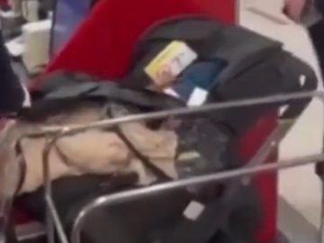 Nechceli priplatiť za detskú sedačku, tak ju nechali na letisku. Aj s jej obsahom