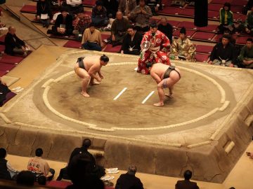 sumo zápasenie, bojovník, Takashi Saito, smrť, fakty a zaujímavosti, šport, Japonsko