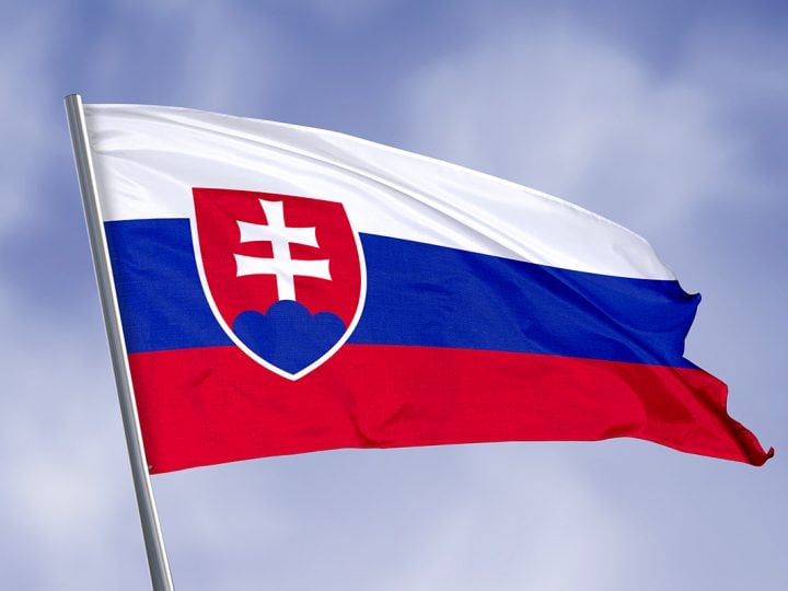 slovenský jazyk, slovenčina, gramatické chyby, Slováci, hrúbka