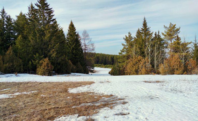 Psychológia za klímu, úbytok snehu, klimatická kríza