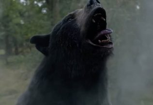 Trilerová komédia Medveď na kokse ponúkne netradičný filmový zážitok. Aké zaujímavosti sa s ňou spájajú?