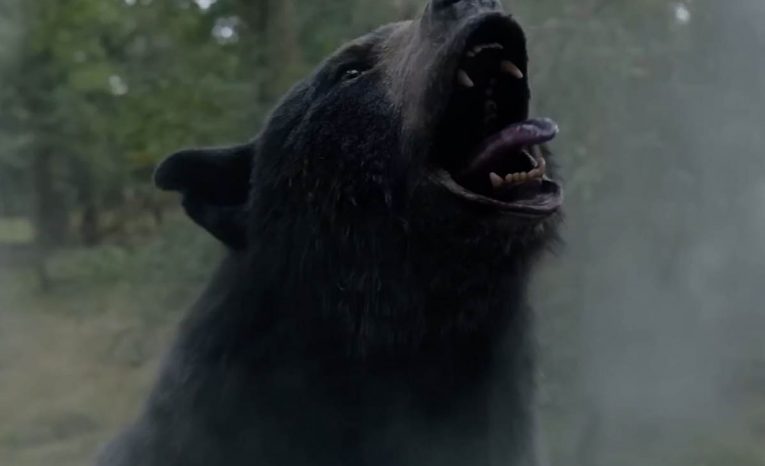 Trilerová komédia Medveď na kokse ponúkne netradičný filmový zážitok. Aké zaujímavosti sa s ňou spájajú?