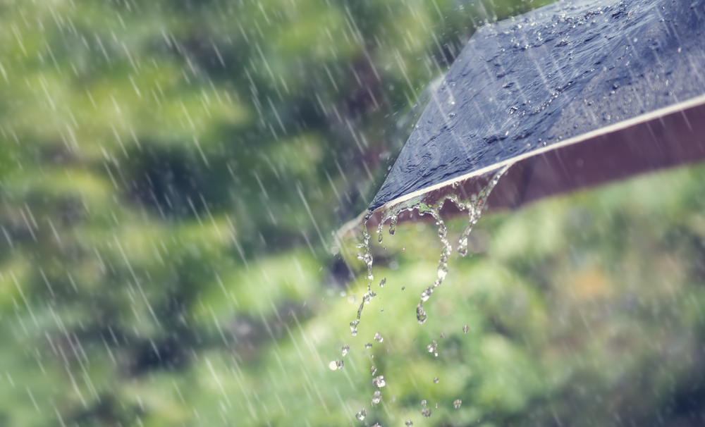 Počasie, dážď, búrka, dáždnik, Slovensko, kvapky dažďa