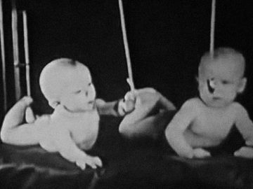 Myrtle Byram McGraw, dvojičky, dvojčatá, bábätká, psychológia, experiment