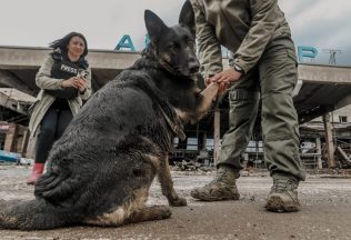 Ukrajina, zvieratá, pomoc, dobrovoľník