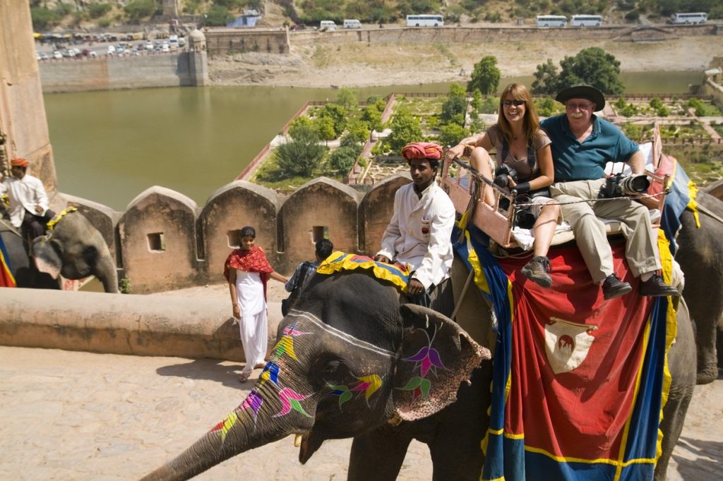 slon, India, turizmus, týranie zvierat