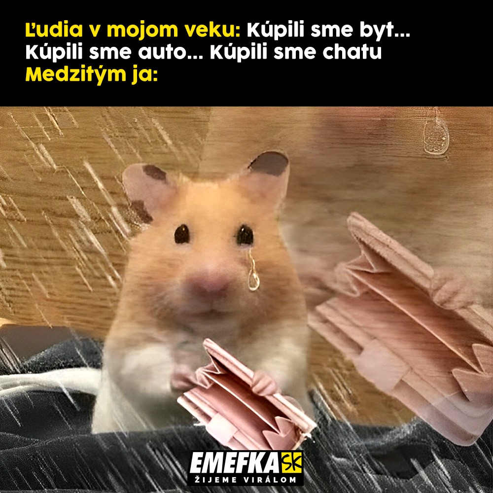 TOP memes za posledný týždeň, Slovensko, zábava