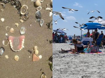 20 ľudí, ktorí si chceli užiť slnečný deň na pláži, no nebolo im dopriate