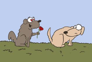 10 zábavných komiksov o zvieratách, ktoré ti okamžite zlepšia deň