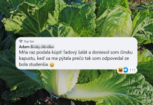 TOP KOMENTY: Najlepšie komentáre Slovákov za minulý mesiac #6