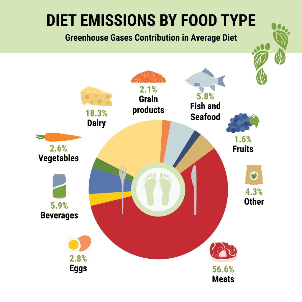 vegánstvo, živočíšne produkty, konzumácia mäsa, životné prostredie, klimatická kríza