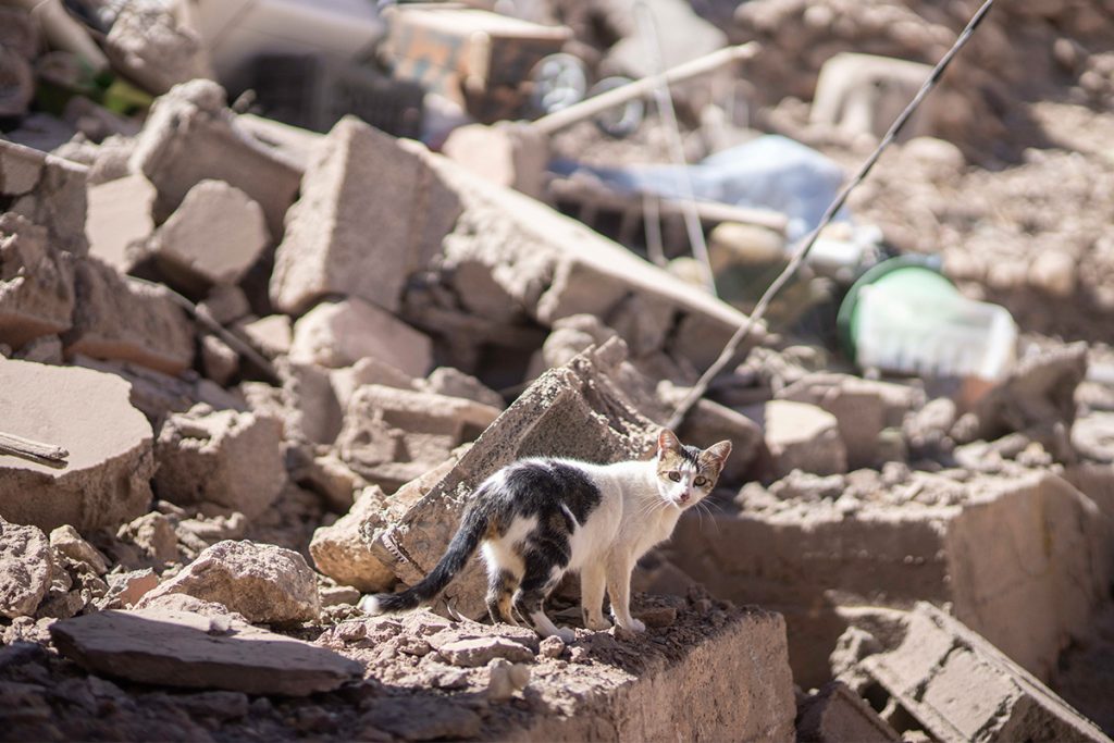 Zobral len to najcennejšie. Fotografia zachytáva Maročana, ktorý počas zemetrasenia zachránil svoju PS5