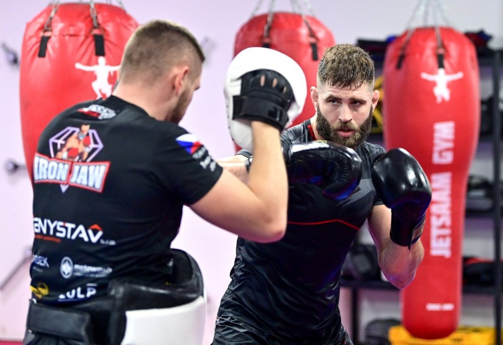 Jiří Procházka, UFC, šport