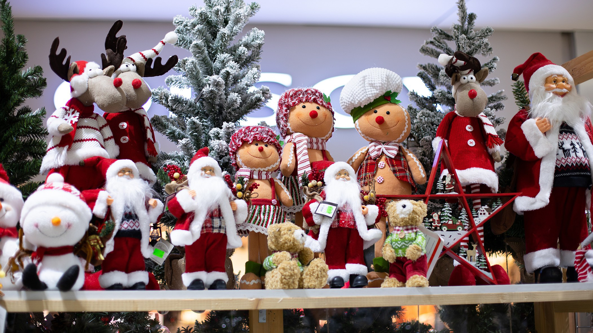 Slovenka pracuje vo vianočnej predajni: Zákazníci si raz začali zdobiť stromček priamo v predajni. Ľudia dokážu minúť na ozdoby aj stovky eur