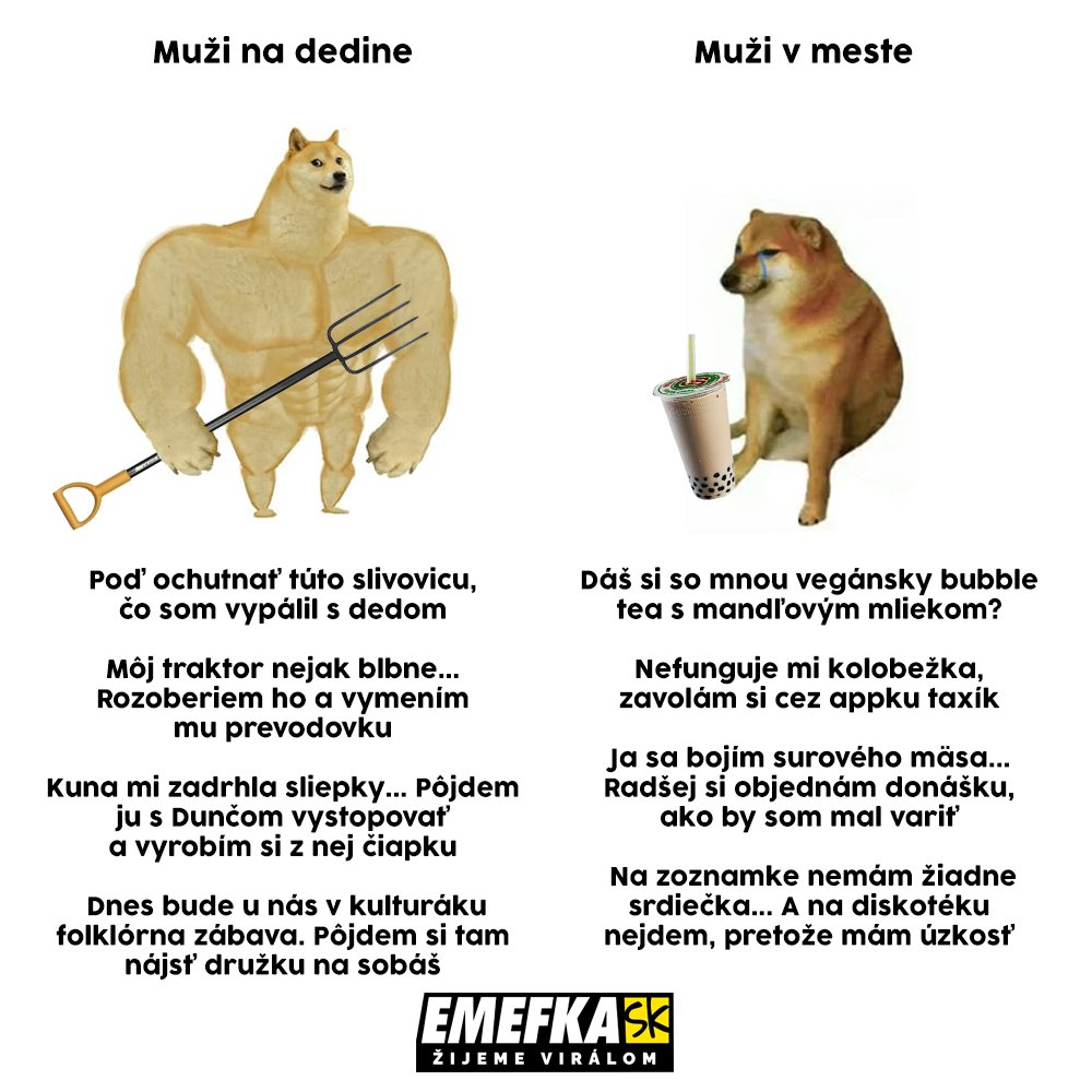 TOP memes, zábava, humor