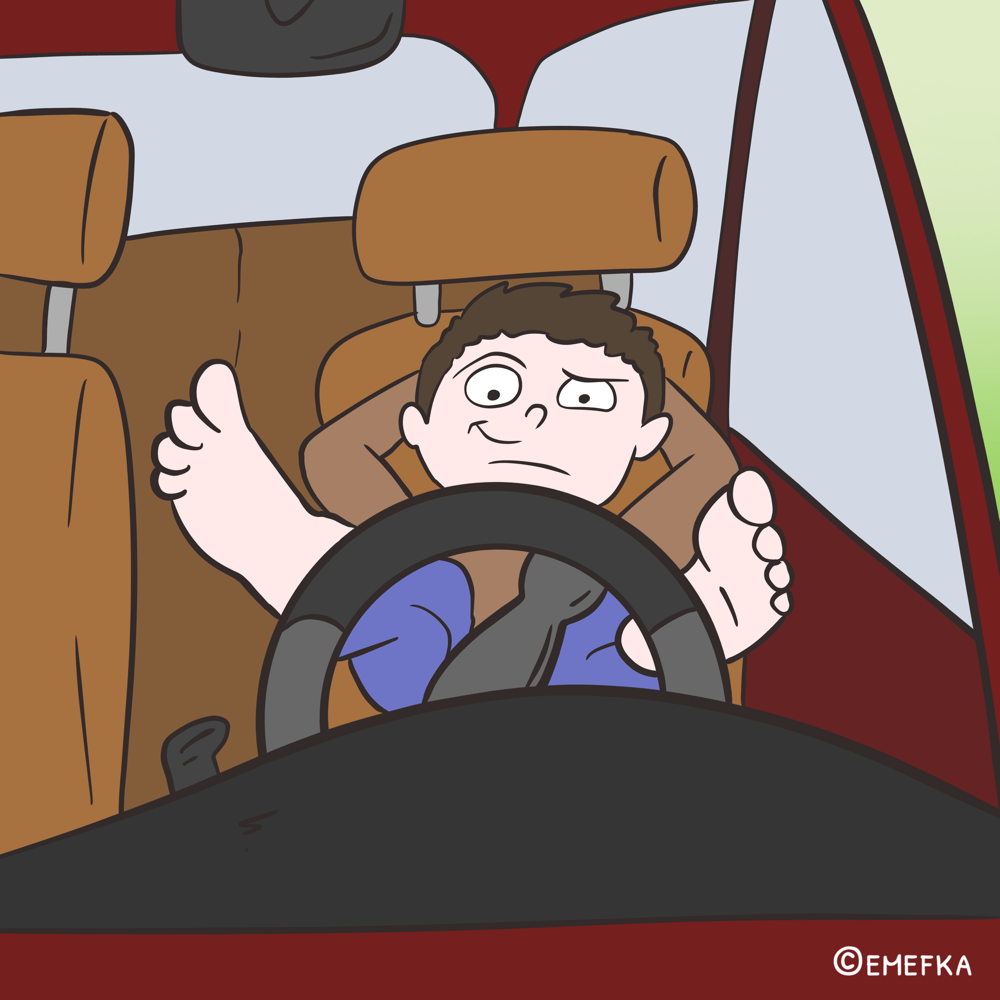šofér, vodič, vodičský preukaz, humor, zábava, komiks, ilustrácia