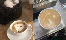 20 ľudí, ktorí zistili, že latte art nie je taký jednoduchý, ako sa zdá