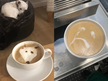 20 ľudí, ktorí zistili, že latte art nie je taký jednoduchý, ako sa zdá