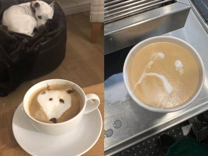 20 ľudí, ktorí zistili, že latte art nie je taký jednoduchý, ako sa zdá