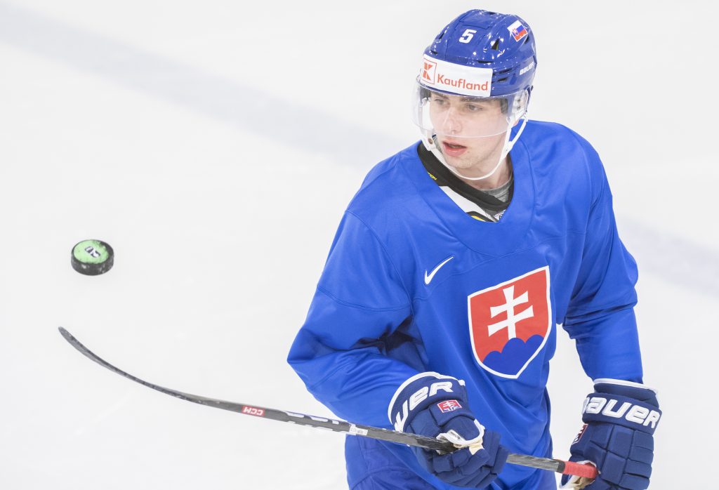Už čoskoro sa začínajú hokejové majstrovstvá sveta a veľa Slovákov s i kladie otázku ktorí slovenskí hokejisti z NHL a AHL sa tam objavia.