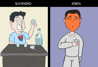 Slovensko verzus Južná Kórea: 10 ilustrácií, ktoré vtipne zachytávajú rozdiely medzi krajinami (2. časť)