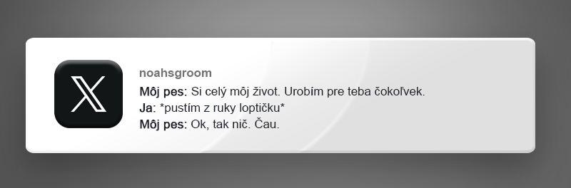 10 vtipných príspevkov z internetu, v ktorých sa nájde každý milovník psov