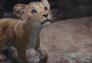 Scar ako sympaťák? Trailer disneyovky Mufasa: Leví kráľ od fanúšikov schytal kritiku za nerešpektovanie originálu