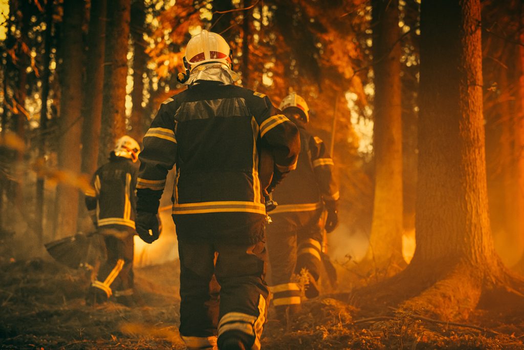 Hasiči môžu na niekoho pôsobiť neodolateľne. Určite však existuje aj lepší spôsob, ako sa zoznámiť, než zakladanie požiarov.