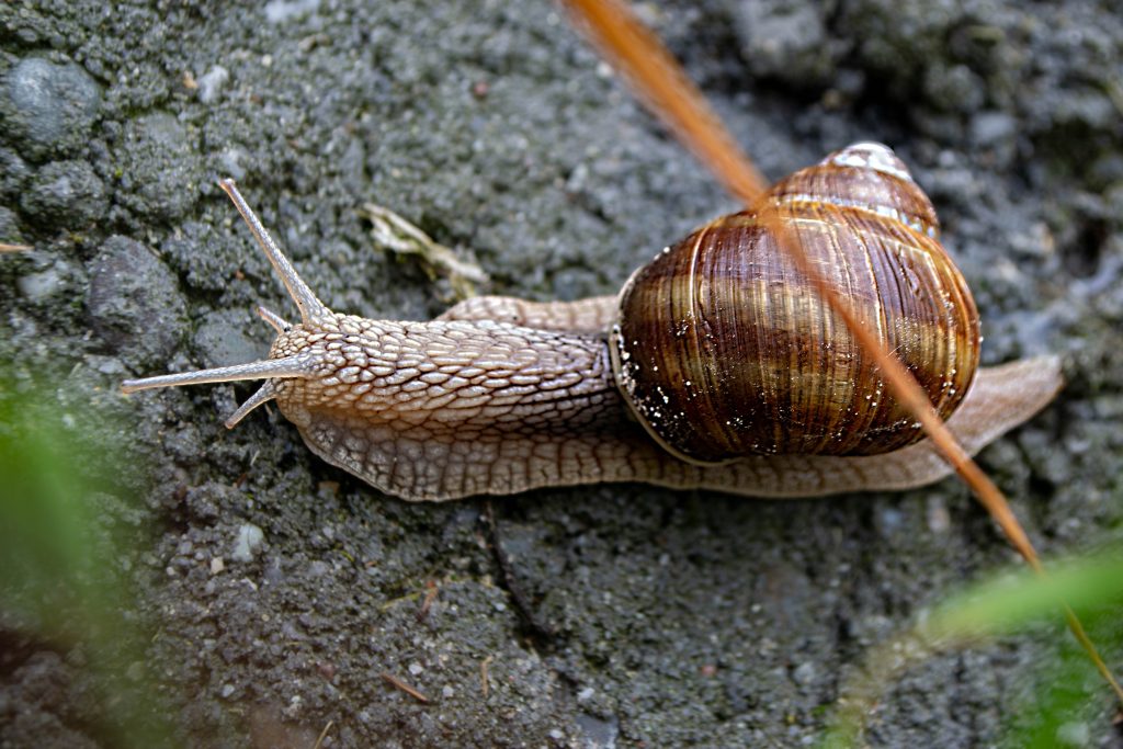 Ako rôzne sa dá použiť pivo okrem pitia? Prekvapivé veci, kde všade nájdeš jeho využitie