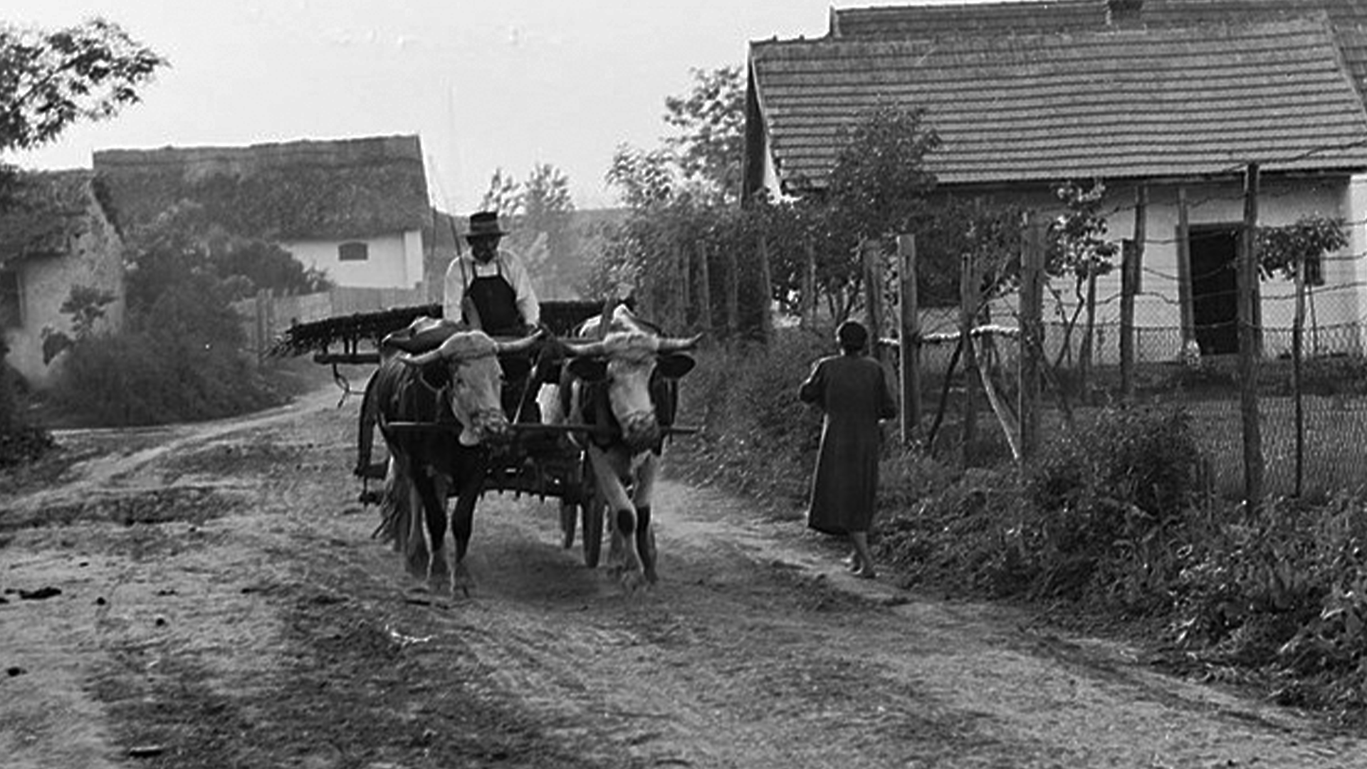 Perverzná maďarská prostitútka, ktorá zneužívala telá svojich obetí. Toto je Piroska Jancsó Ladányi