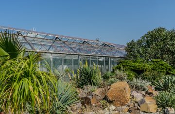 Parky a botanické záhrady, ktoré majú v jesennom období magickú atmosféru